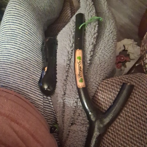 Irish shillelagh wall - shillelagh, hanging