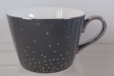 Stylish Fox & Ivy Grey Silver