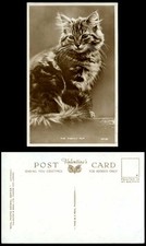 Beautiful Pussy Cat Kitten The Family Pet Old Real Photo Postcard Pets Animal RP