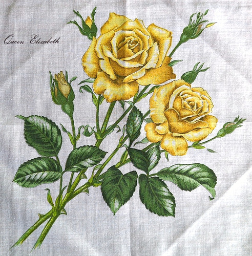 Vintage fine cotton lawn - fine,