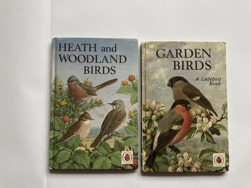 Vintage ladybird book - vintage,