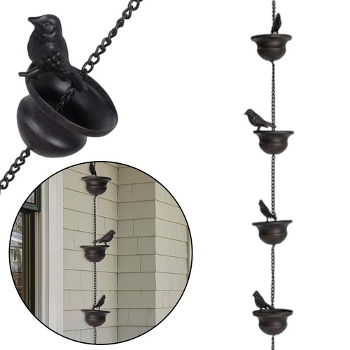 Outdoor bird rain - bird, for