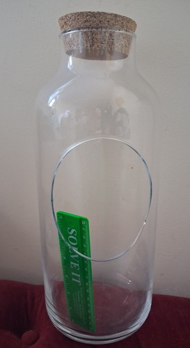 Glass terrarium jar cork - jar, lid