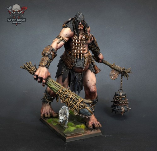 Pro painted studio warhammer - painted,