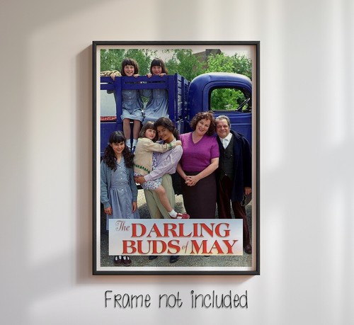 The darling buds may high - the,