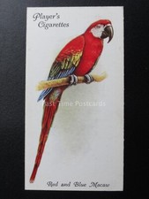 No.30 RED & BLUE MACAW - Aviary and Cage Birds by John Player 1933