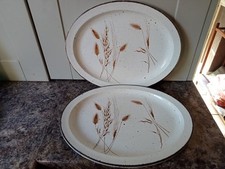 Midwinter Stonehenge Wild Oats