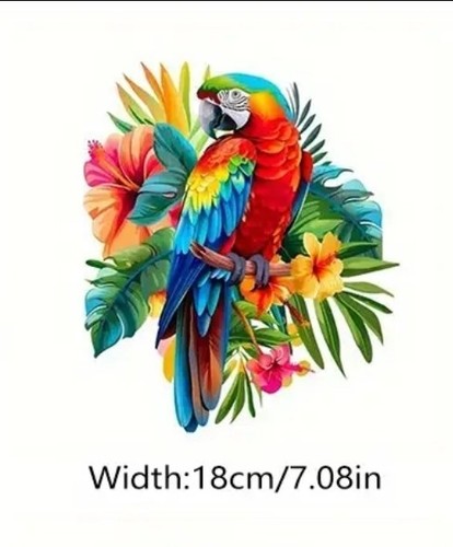 Colourful parrot large - parrot, iron