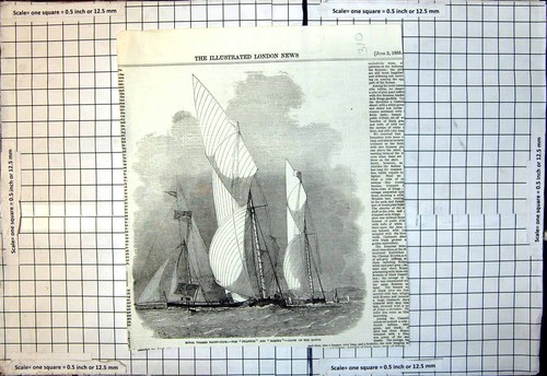 Old antique print royal - antique, thames
