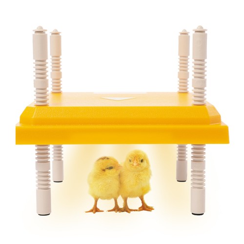 Chick brooder heating - heating, plate