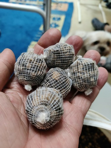 Carp bait balls 12g - balls, hand
