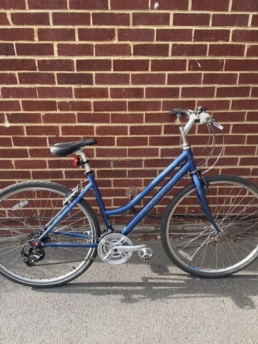 Ridgeback motion blue - motion,