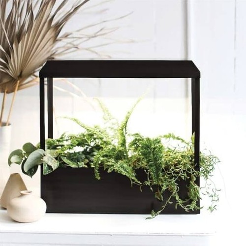 Modern sprout smart growhouse - smart,