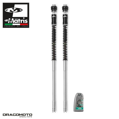 Honda hornet 900 - honda,