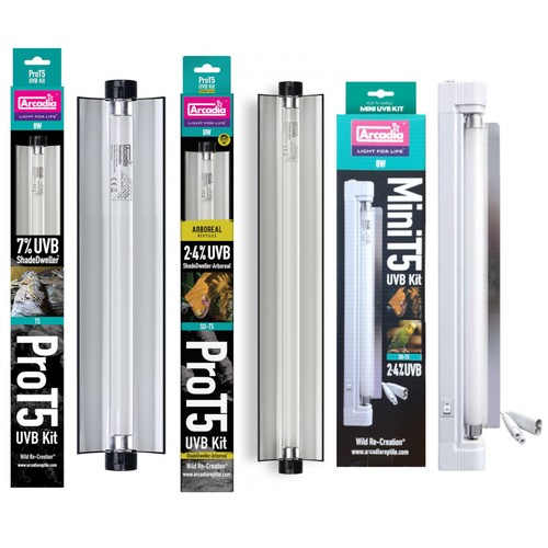 Shadedweller reptile lighting - reptile,