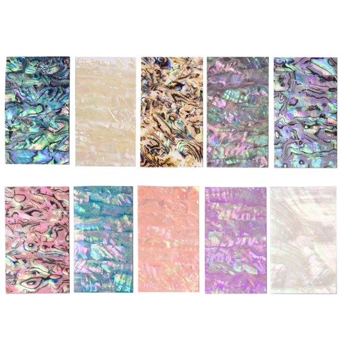 Natural abalone shells - natural,