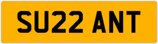 Susan sue suzan suzanne - susan,