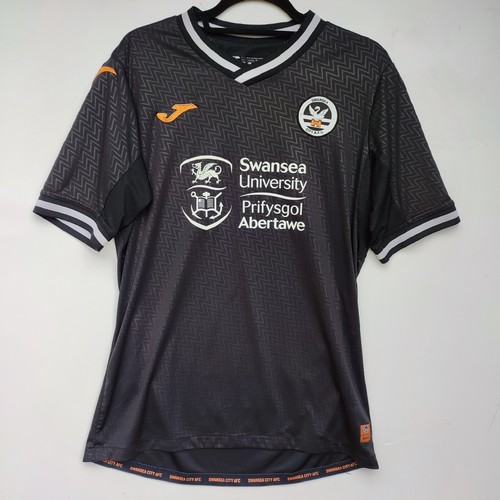 Swansea city 2021 2022 - swansea,