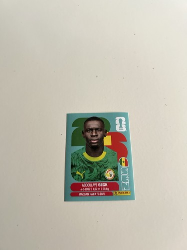 Panini world cup 2026 sticker - world,