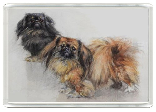 Pekingese dog fridge magnet - pekingese,