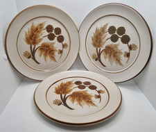 3 Denby Cotswold Dinner Plates