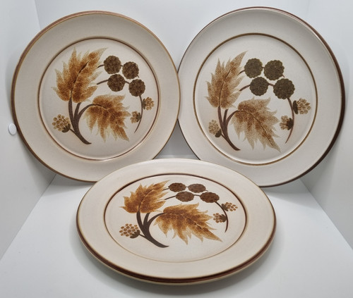 Denby cotswold dinner plates - 3,