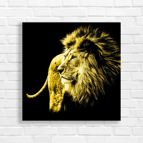 Lion the shadows square - shadows,