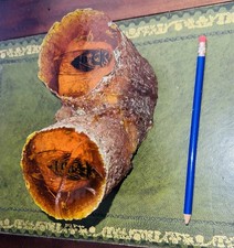 Unusual Large Insects In Amber Raisin Bug Specimen  Taxidermy 