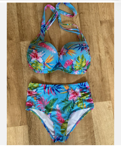 Tropical bird paradise - bird,