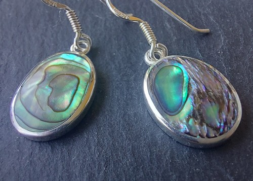 Beautuiful paua abalone - beautuiful,
