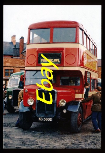 Bus photo aec regent western - aec, regent,