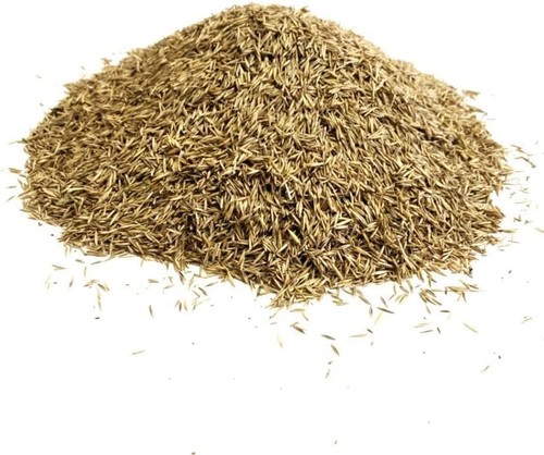 Front lawn grass - front, 500g
