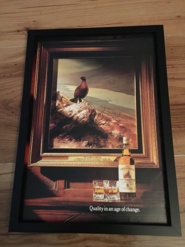 Famous grouse scotch - grouse,