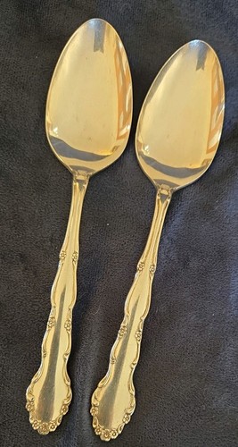 Serving spoons - 2x,