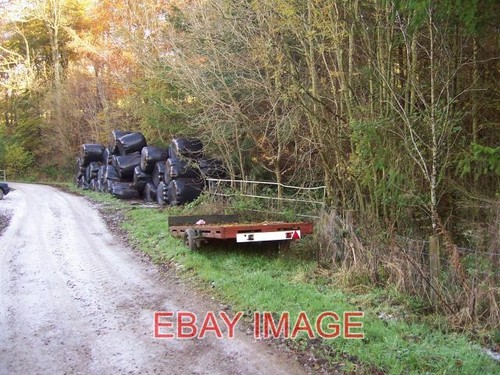 Photo fodder coed canol - photo,