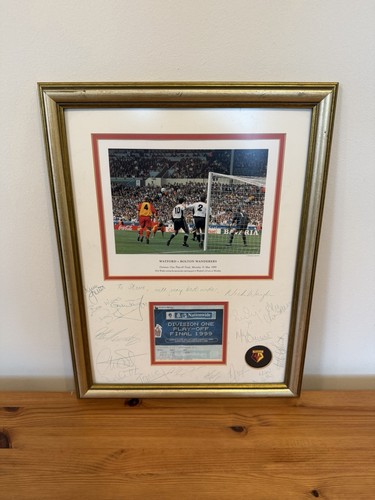 Watford football club 1999 - watford,