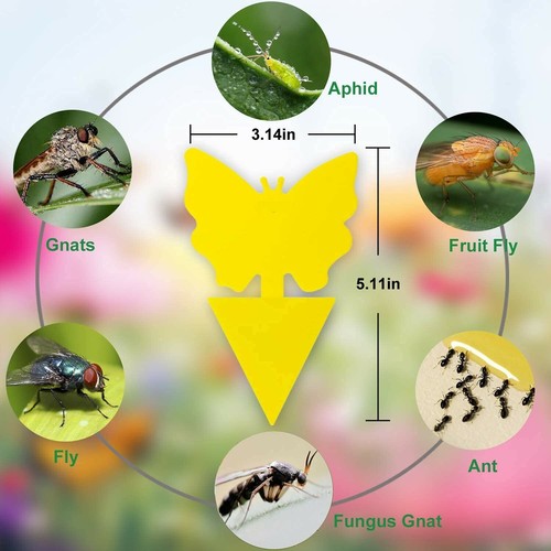 50pcs fly stickers window - 20/50pcs,