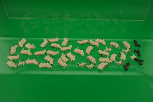 Sheep scale 32 - 32,