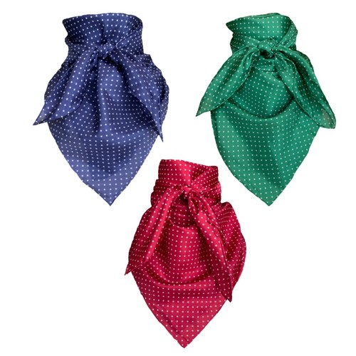 Wyoming traders polka dot - traders,