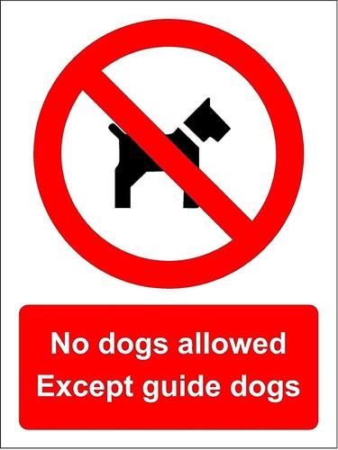 Dogs allowed except guide - allowed,
