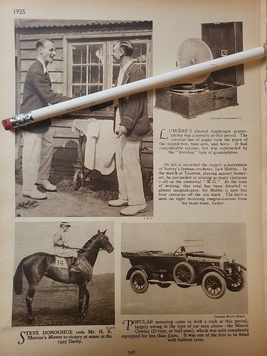 1925 cricket surrey jack - 1925,