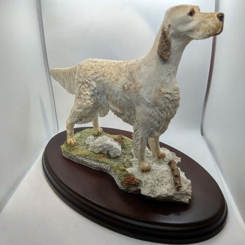 English setter best - best, of