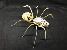 Huge Laser Cut Wooden Spider