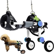 HobeyHove Adjustable Dog