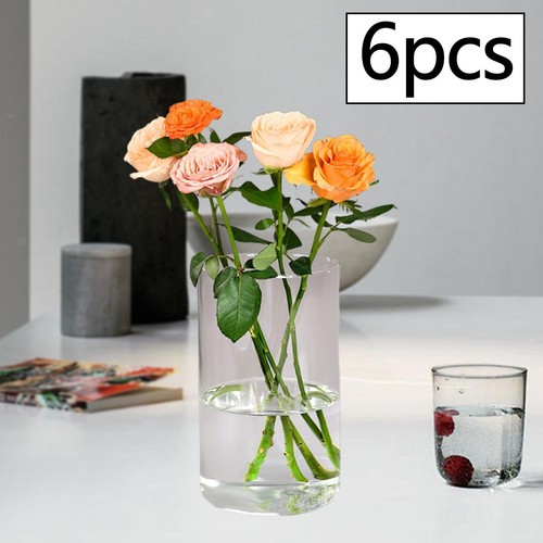 Glass cylinder vases plant - vases,