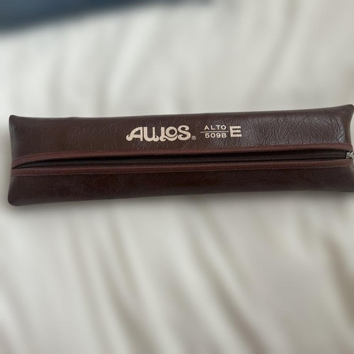 Recorder aulos - recorder,