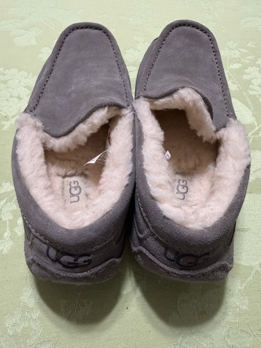 New authentic uggs light gray - uggs,