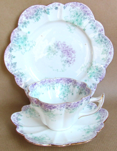 Wileman foley trailing violets - wileman,