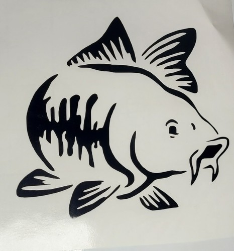 Carp hunter fishing - carp,