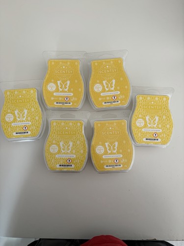 Scentsy bar bundle - 6, coconut